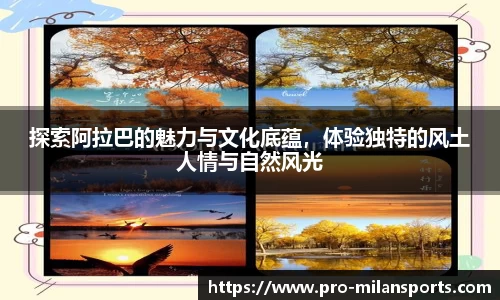 米兰体育APP
